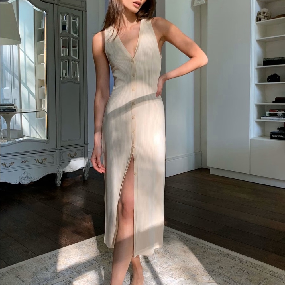Aritzia Babaton Jayce Dress